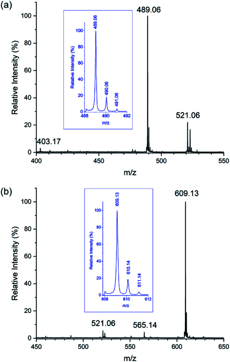 Fig. 8