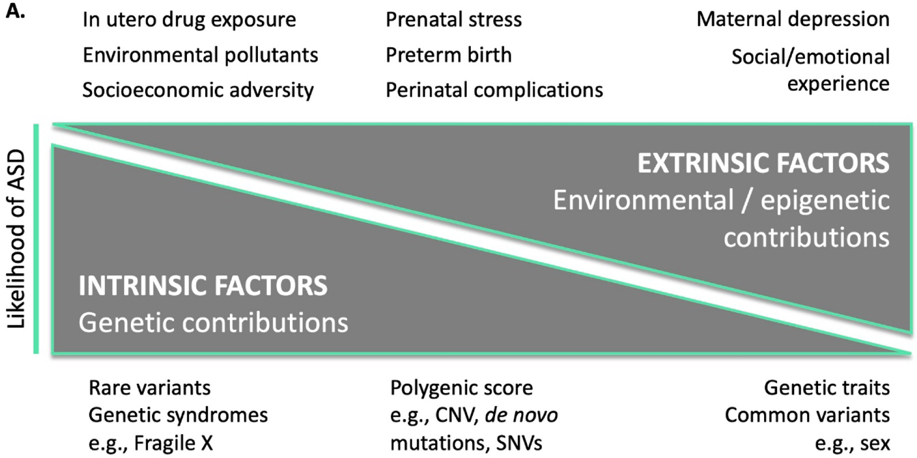 Figure 2: