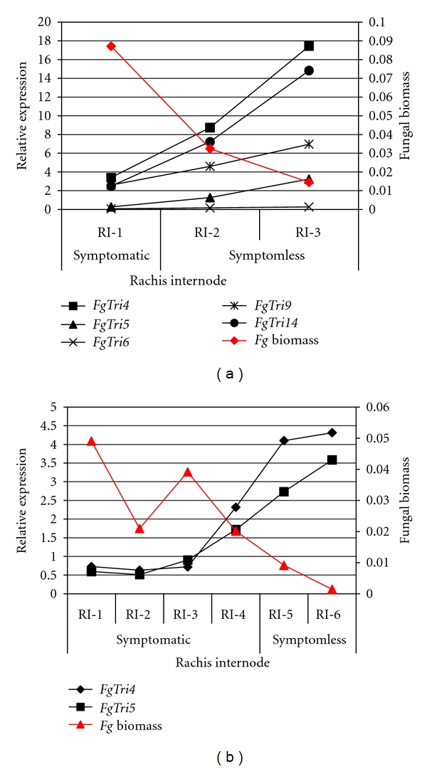 Figure 5