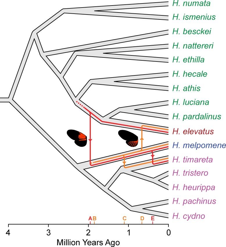 Fig 5