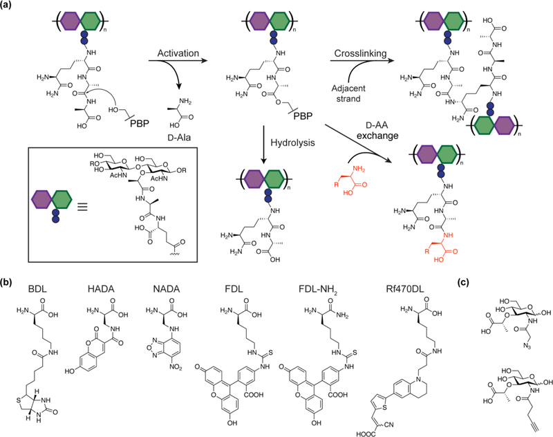 Figure 3: