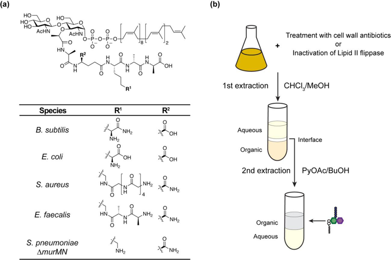 Figure 2: