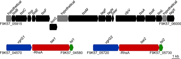 FIG 1