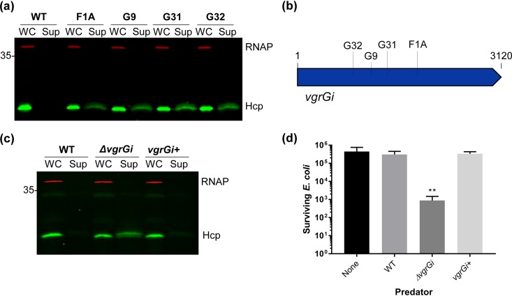 FIG 2