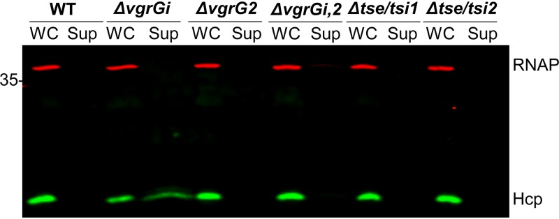 FIG 3