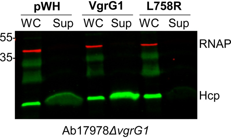 FIG 6