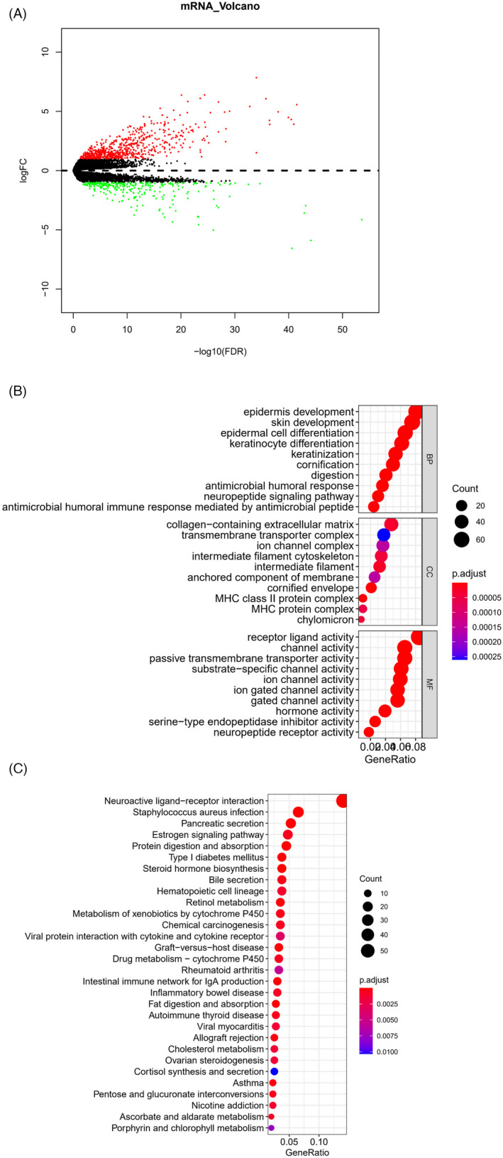 FIGURE 2