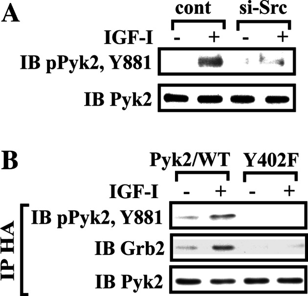 Fig. 5