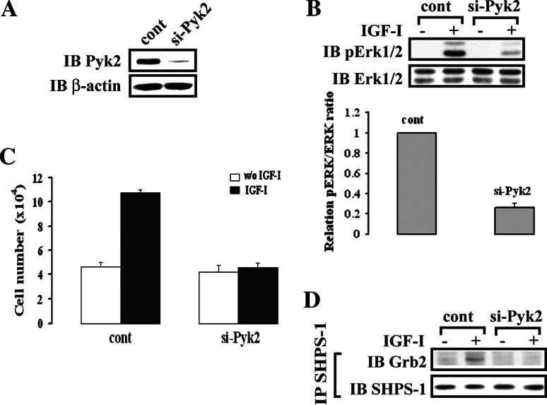 Fig. 4