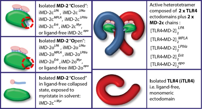 FIGURE 2.