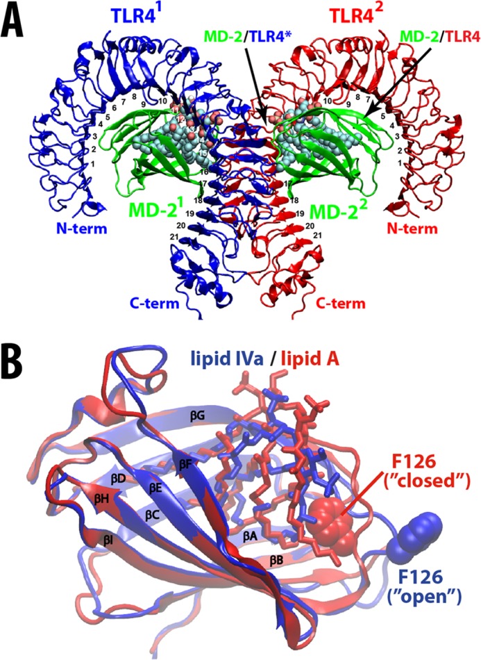 FIGURE 1.