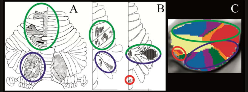 Fig.1