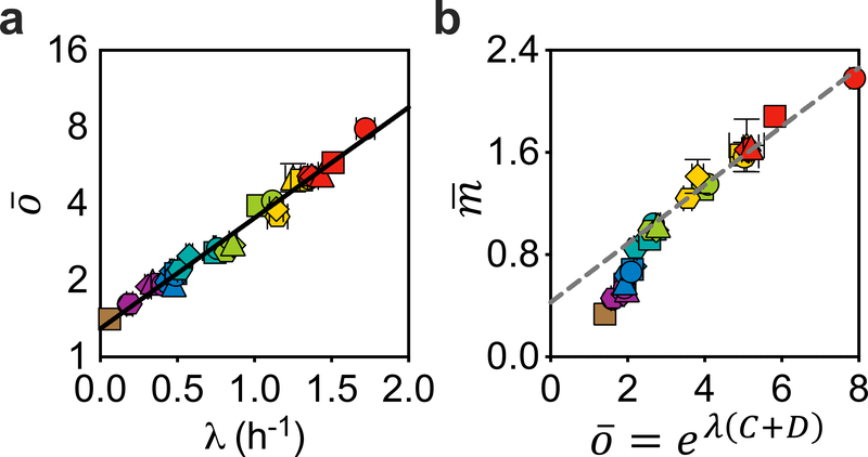 Fig. 2 |