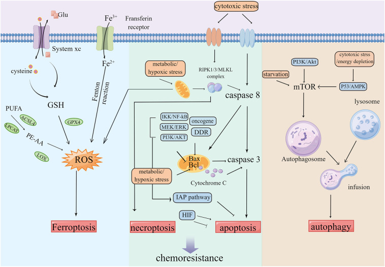 Figure 3