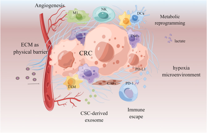 Figure 6