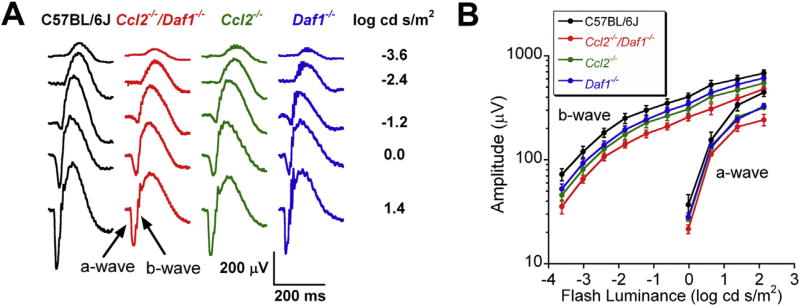 Fig. 2