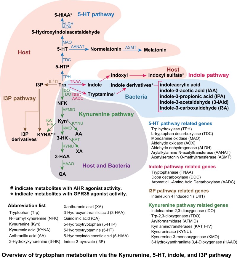 Graphical Abstract