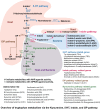 Graphical Abstract