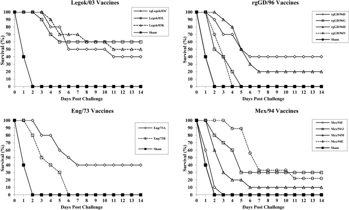 FIG 6