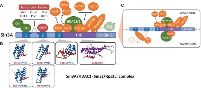 Figure 1.