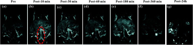 Fig. 6