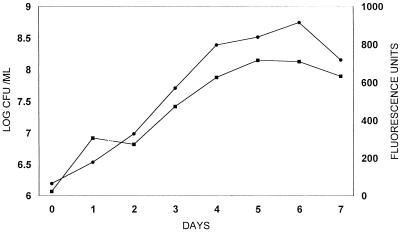 FIG. 1