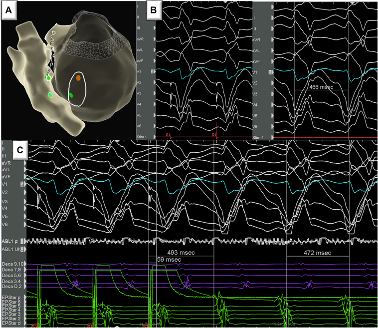 Figure 2