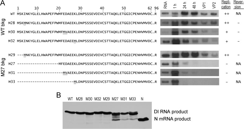 FIG 6