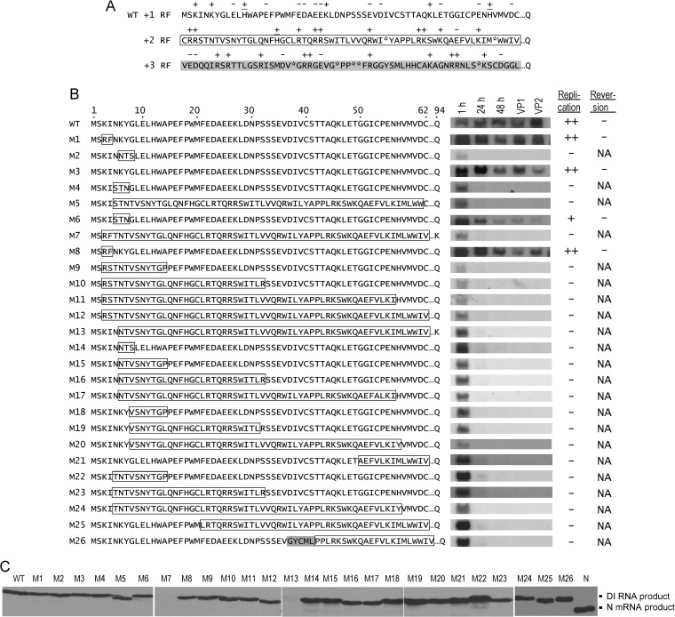 FIG 5