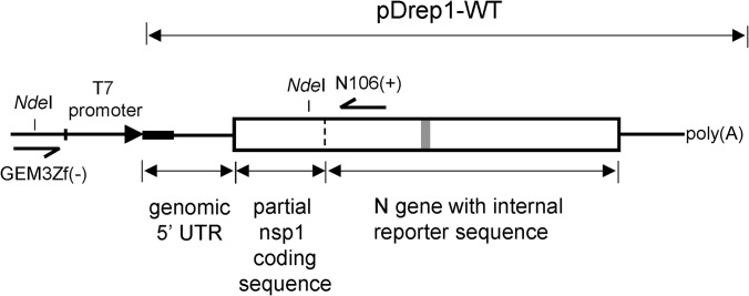 FIG 3