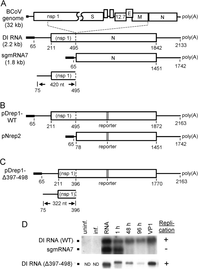 FIG 1