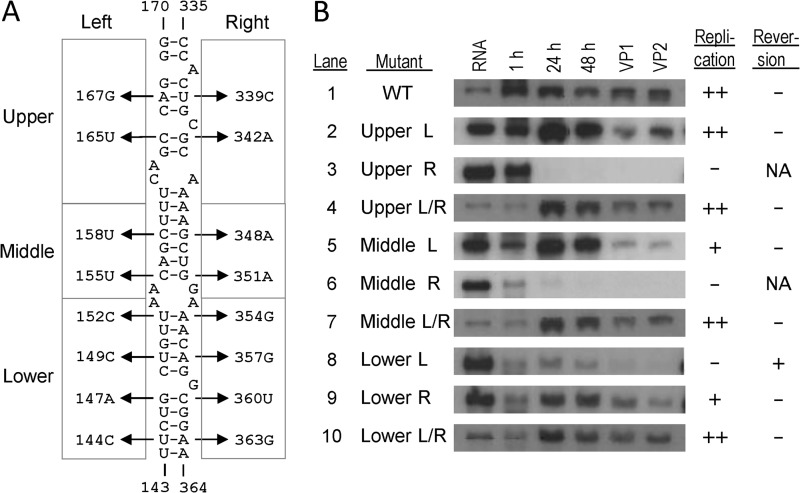 FIG 4