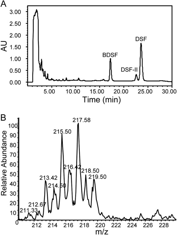 FIG 5