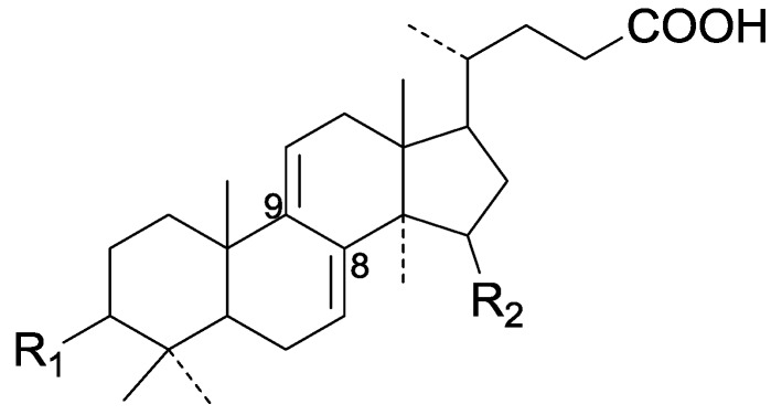 Figure 24