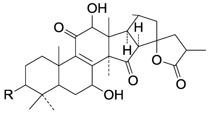 Figure 28