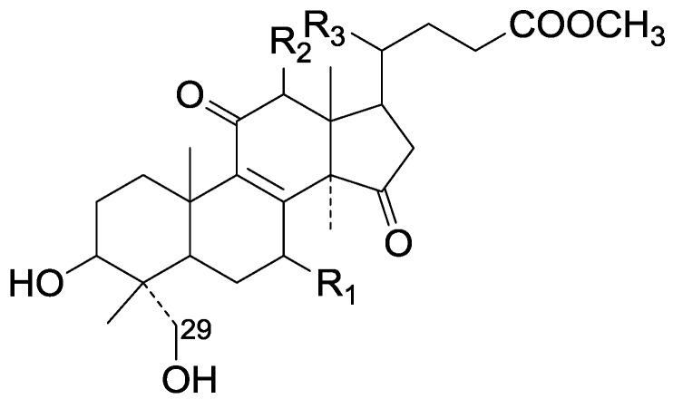 Figure 25