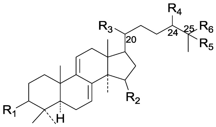 Figure 20