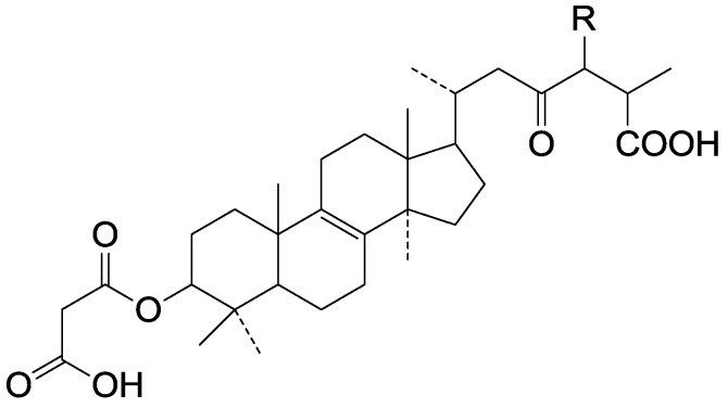 Figure 17