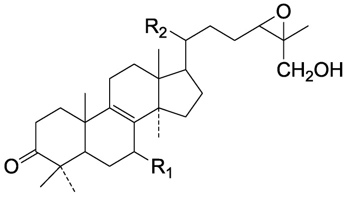 Figure 13