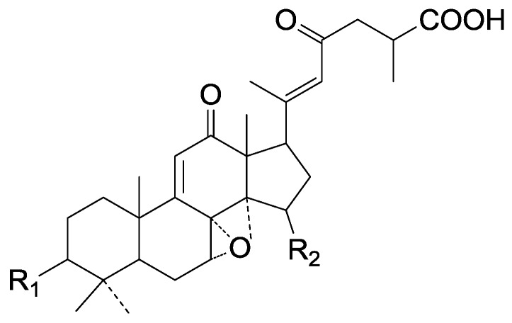 Figure 31