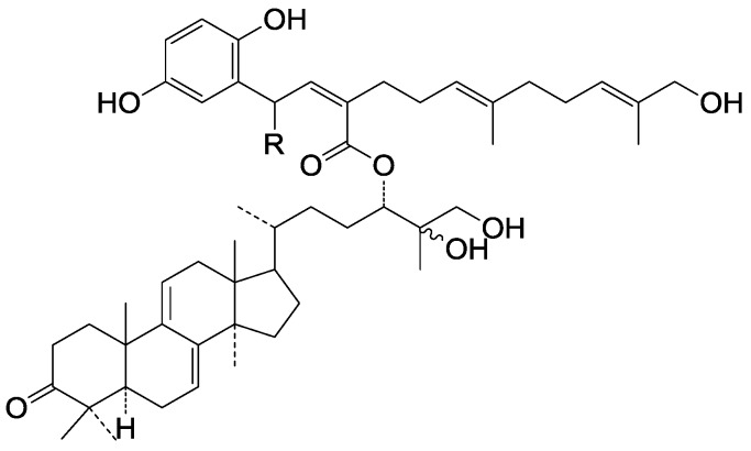 Figure 29