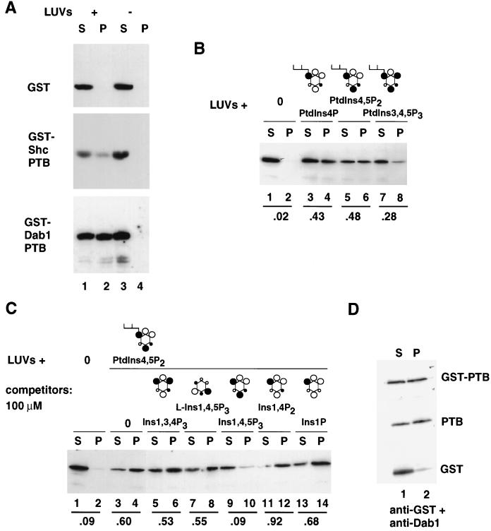 FIG. 5