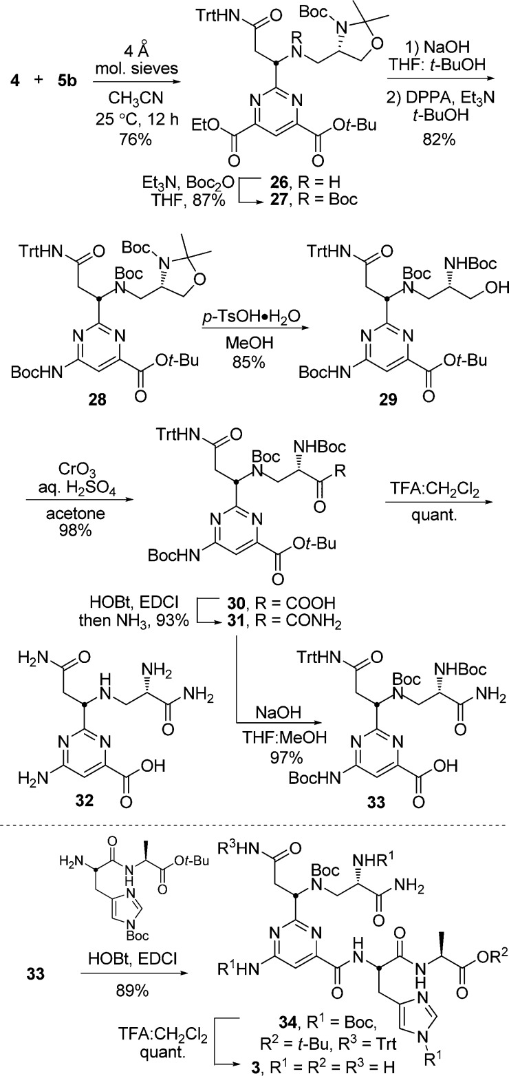 Scheme 6