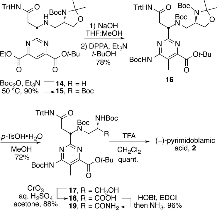 Scheme 5