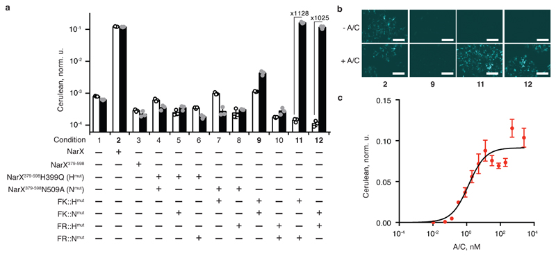 Fig. 3