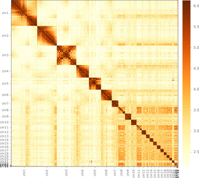 Fig. 3