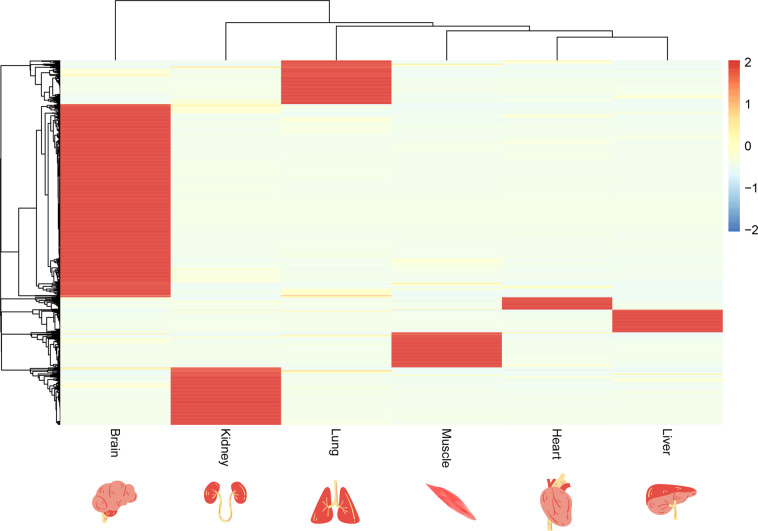 Fig. 7