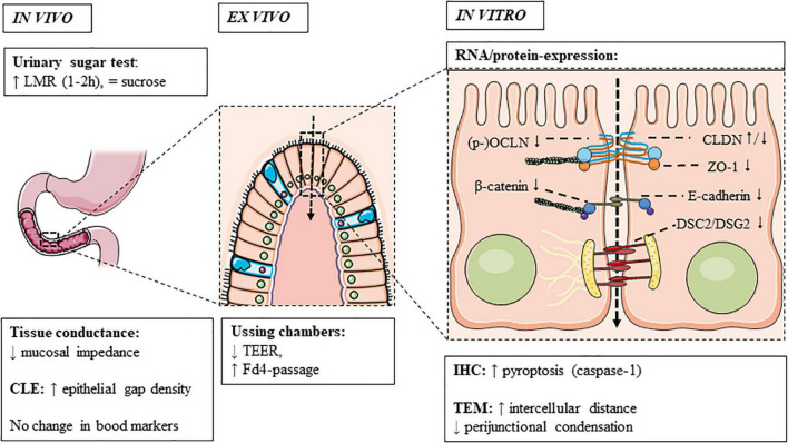 FIGURE 3