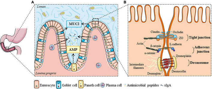 FIGURE 1