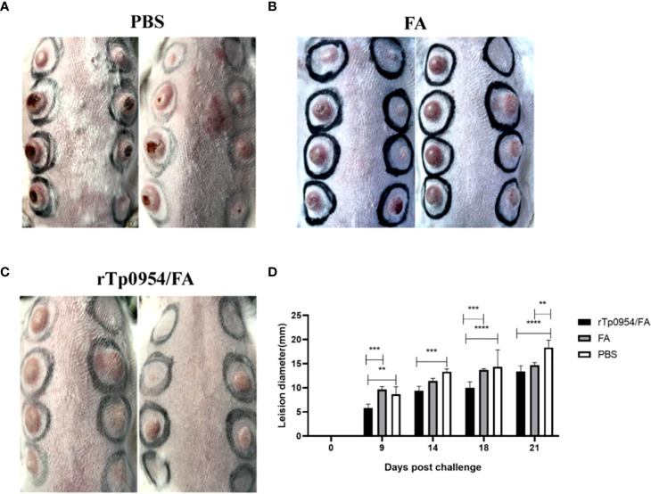 Figure 5